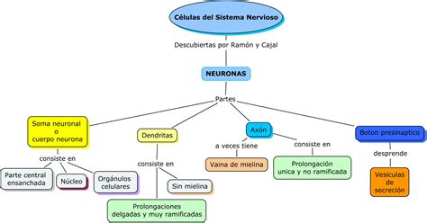 silvia clase: LOS TEJIDOS NERVIOSOS