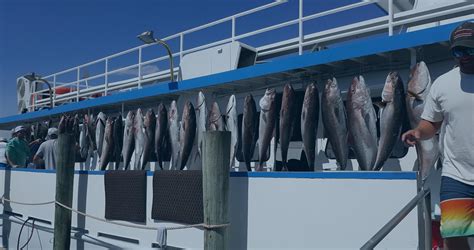 All-Day Deep Sea Fishing Trips Available Near You | Capt. Anderson's Marina