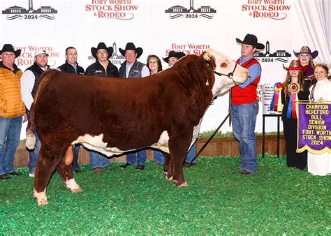 Hereford Champions | GKB Cattle - Herefords, Angus, Brangus & Brahman ...