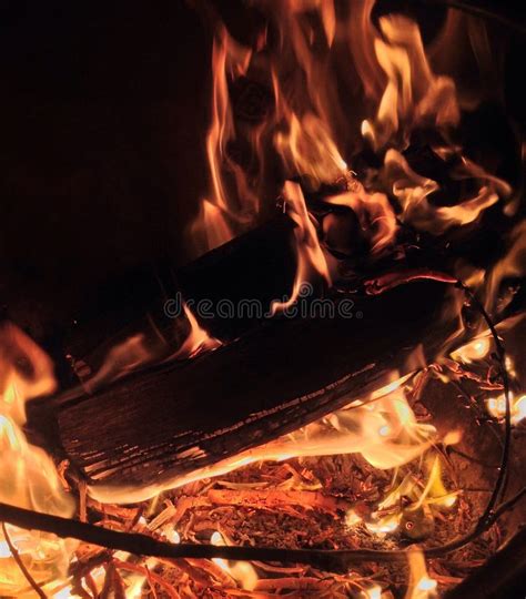 Fire burning Logs stock photo. Image of flame, light - 43761526