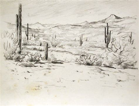 Desert Landscape Drawing at PaintingValley.com | Explore collection of Desert Landscape Drawing