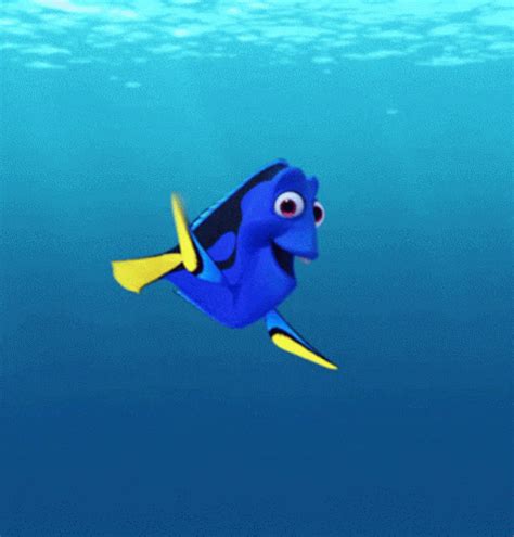 Dory Gifs GIFs | Tenor