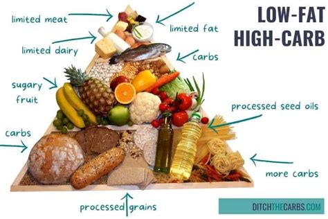 Low Carb vs Low Fat: Which Is Best? — Ditch The Carbs