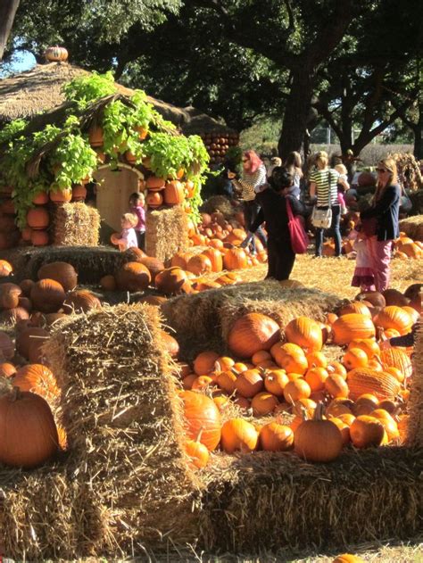 Pumpkin Village at Dallas Arboretum. Fall festival continues until Thanksgiving week. | Dallas ...