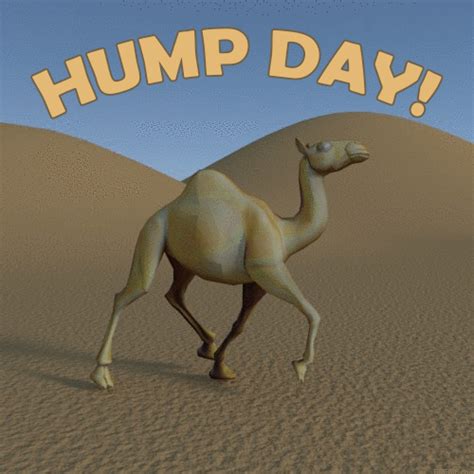 Happy Hump Day GIFs - 100 Animated Greeting Cards For Free