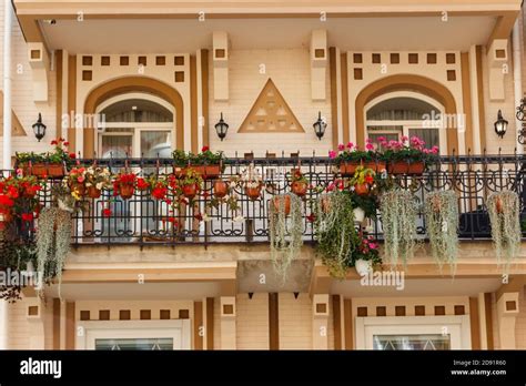 Flower pots with beautiful flowers on a balcony Stock Photo - Alamy