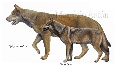 Блогът на valentint :: Encyclopedia Largest prehistoric animals Vol. 1 Vertebrates part1 Mammals ...