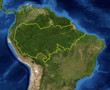 zerezas-curiosidadesvarias: La Amazonia en peligro en todas sus fronteras