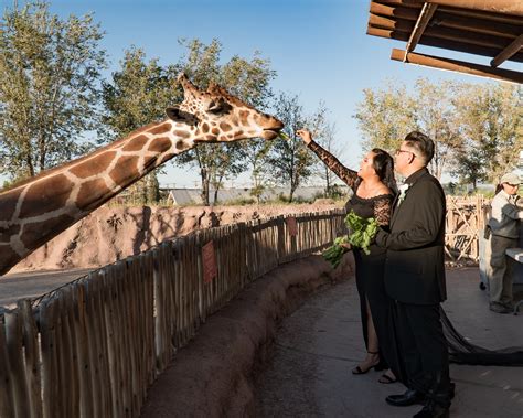 El Paso Weddings — El Paso Zoo Events