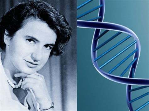 Rosalind Franklin is the forgotten woman behind the discovery of the double helix structure of ...