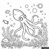 Squid Coloring Pages  Free Online Coloring sketch template