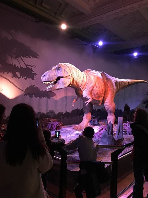 animatronic t-rex in the london natural history museum : r/pics