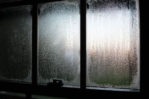 Condensation on Windows: How to Get Rid of It - BaileyLineRoad.com