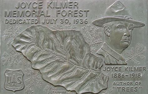 Joyce Kilmer Memorial Forest - Alchetron, the free social encyclopedia