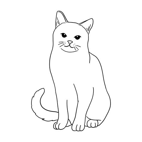 Premium Vector | Hand drawn cat outline illustration