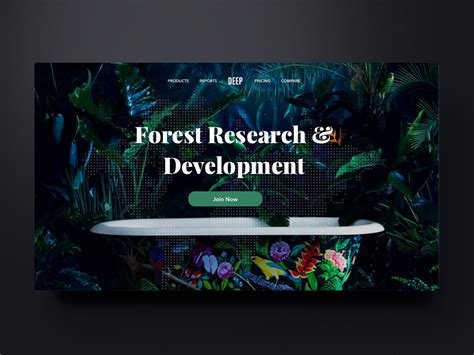 Deep forest website by Johny vino™ on Dribbble