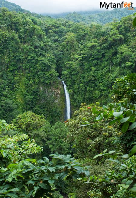 La Fortuna Waterfall: Picture Postcard Rainforest Waterfall