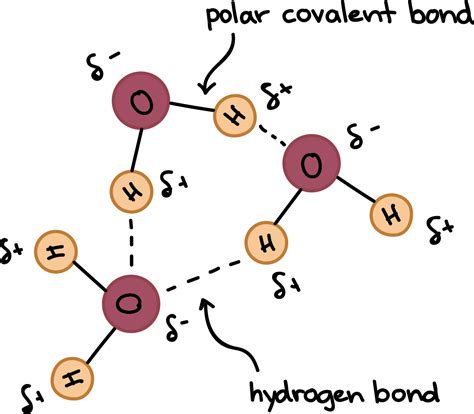 Diagramadeligacaodehidrogeniodamoleculadeagua