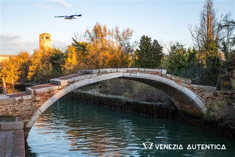 9 Things You Didn't Know About Bridges In Venice, Italy