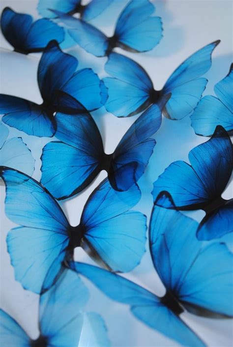 Blue Rainbow Decorative Butterflies . 3D Plastic Butterflies . Ombre ...