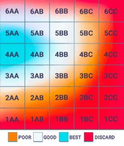 Embryo Grading & Success Rates: The Sensible Guide