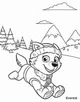 Everest From Paw Patrol coloring Page  Download Print Or Color Online sketch template