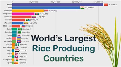 Top 20 Countries by Rice Production (1961 - 2018 ) - YouTube