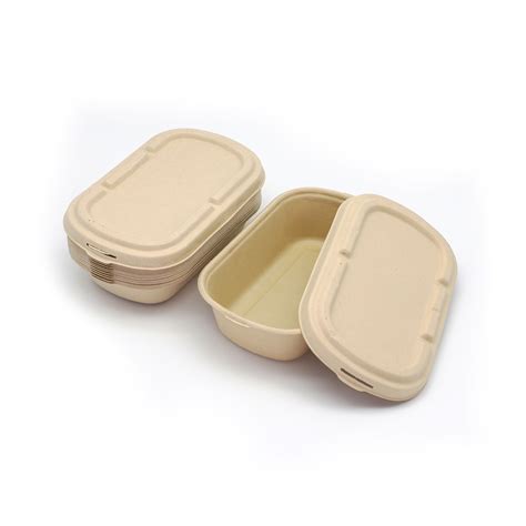 Biodegradable Food Packaging - Biodegradable Food Containers and Disposable Food Container