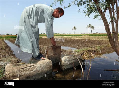 Ancient Egypt Irrigation System