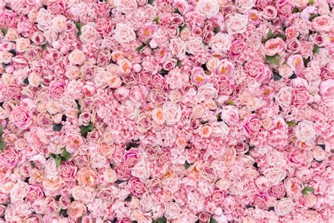 6,017,451 BEST Pink Flowers IMAGES, STOCK PHOTOS & VECTORS | Adobe Stock