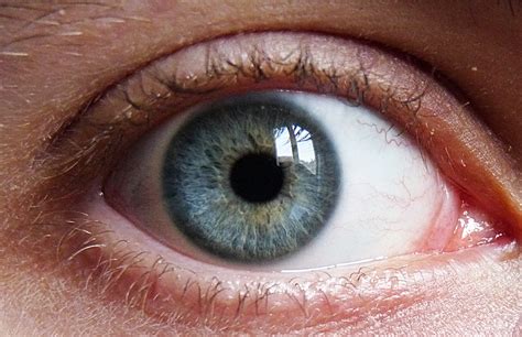 File:Blue Green Eye.png - Wikimedia Commons