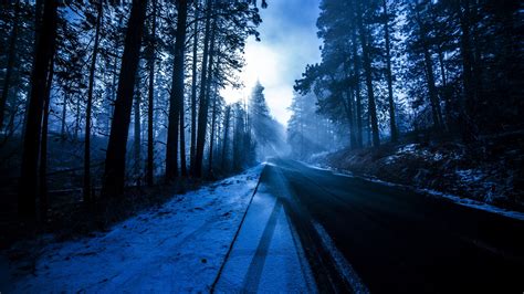 Forest Snowy Dark Evening 5k Wallpaper,HD Nature Wallpapers,4k Wallpapers,Images,Backgrounds ...