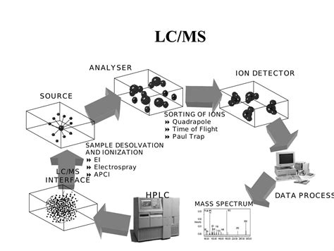 LC/MS