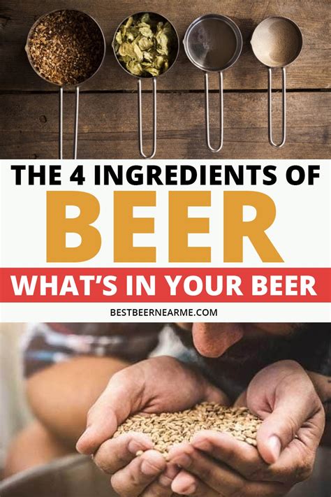 The 4 Ingredients in Beer - What is in your beer? - Best Beer Near Me