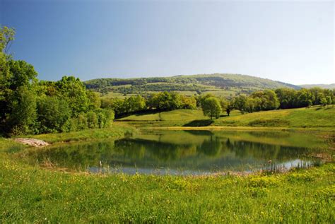 Discover France and its Culture: The Limousin Region - AFGO