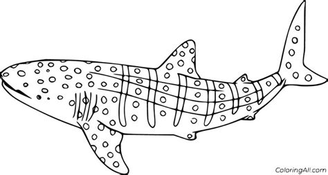 Whale Shark Coloring Pages | Free Printable