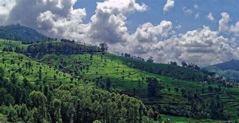 25 Hill Stations In South India That Will Replenish Your Spirits In ...