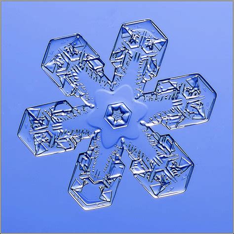 List of Snowflake Shapes and Patterns