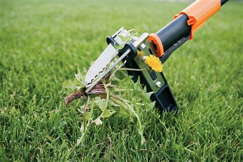 Weed Puller Tool for removing weeds. Garden Hand Tools & Equipment Yard ...