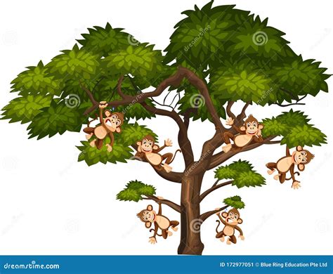 Monkey In A Tree Clipart