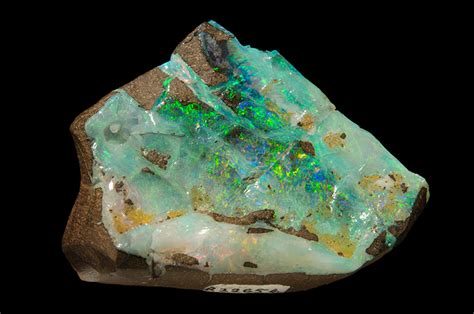 Opal | Geoscience Australia