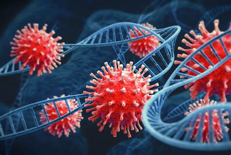 Two mutated coronaviruses have merged into one hybrid virus. Here's how ...