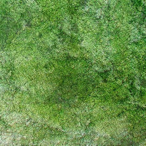 Green Grass with Texture Patterns