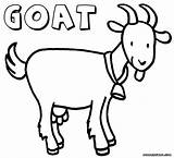 Boer Goat Coloring Pages At GetColoringscom  Free Printable Colorings sketch template