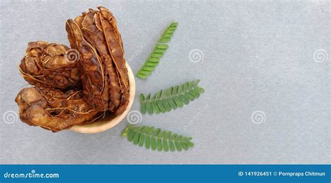 The Group of Dried Tamarind Stock Image - Image of beauty, sweet: 141926451