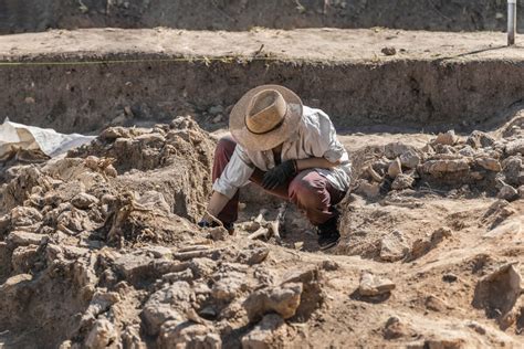 What Archaeology Is and How to Become an Archaeologist