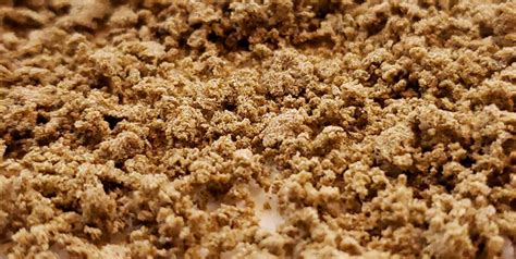 What Is Bubble Hash and How Is it Made?