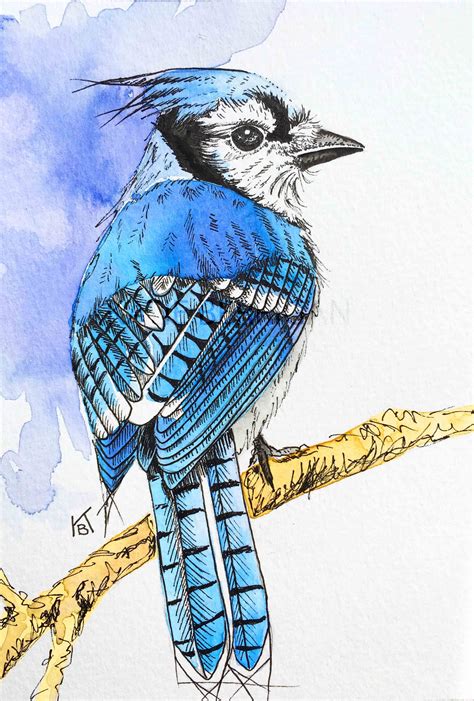 Watercolor Blue Jay / watercolor and pen / watercolor bird / bird art www.kberriganart.com ...