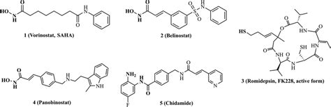 Chemical structures of representative HDAC inhibitors | Download ...