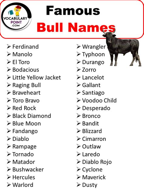 350+ Bull Names (Funny, Strong & Pet Naming Ideas) - Vocabulary Point